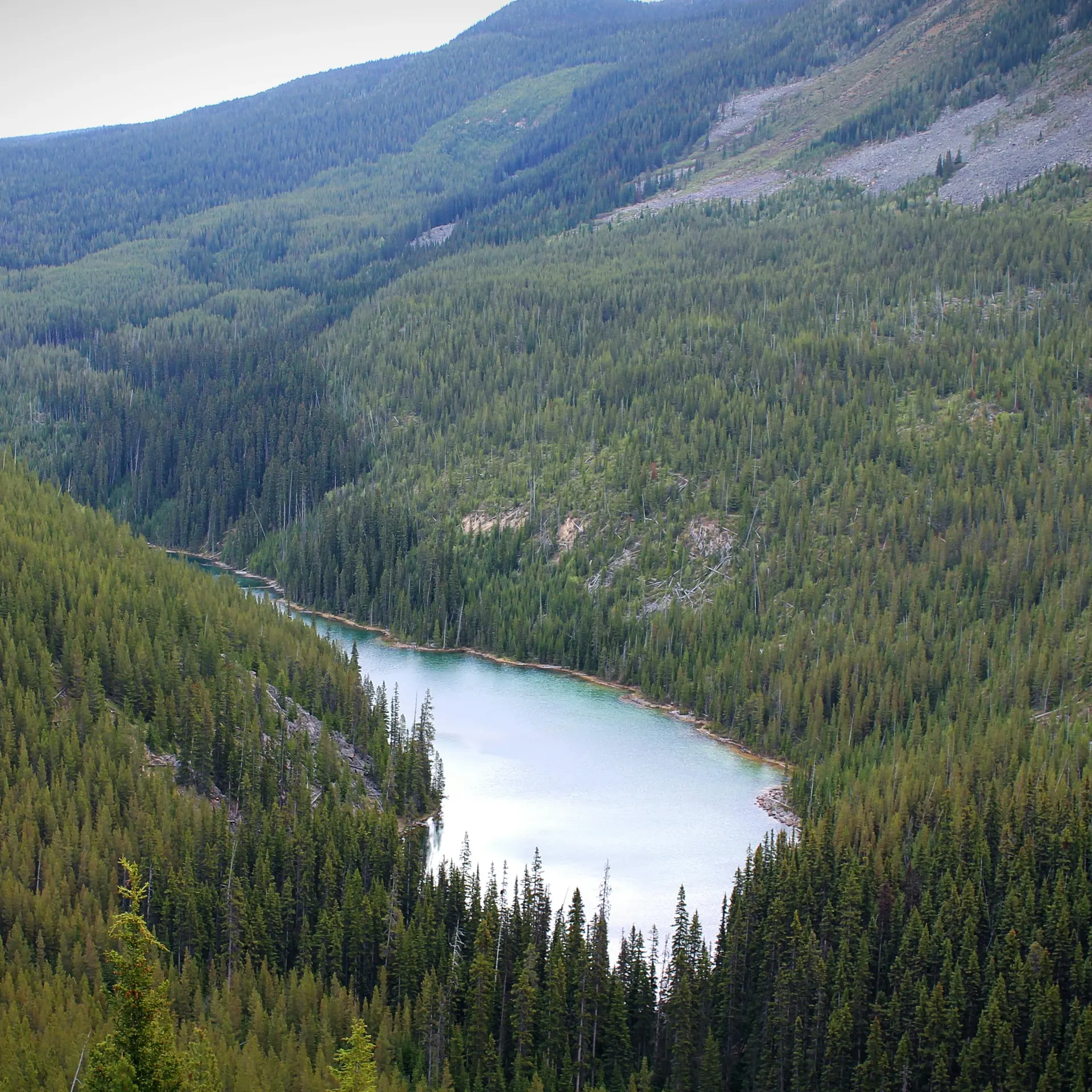 Rocky Mountain Lodge Trail mit weitem Bergblick